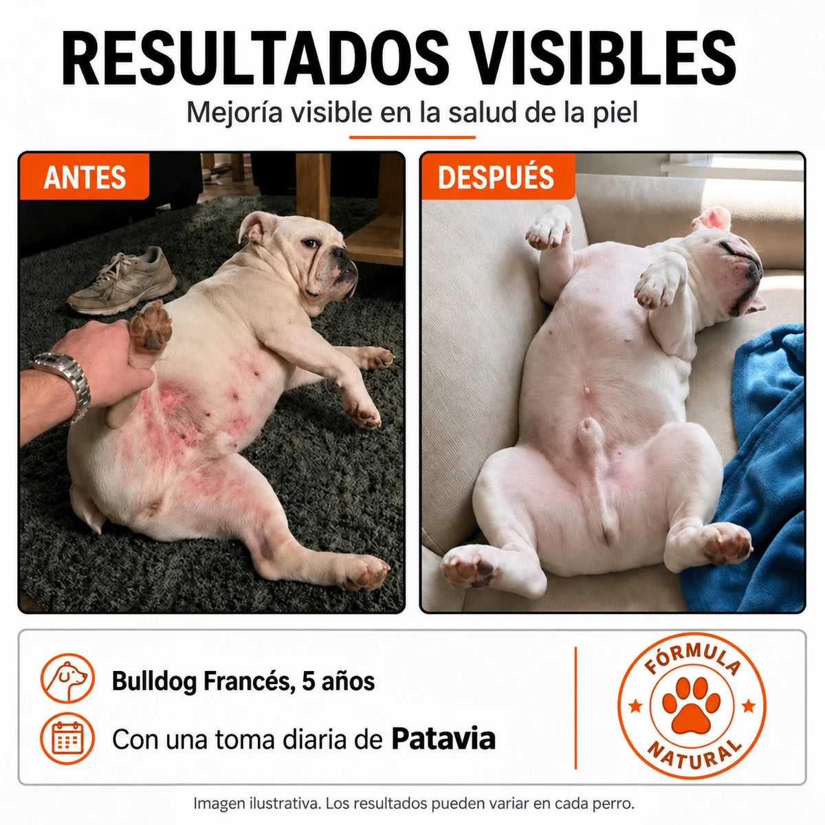 Pliegue del cuello de un perro
