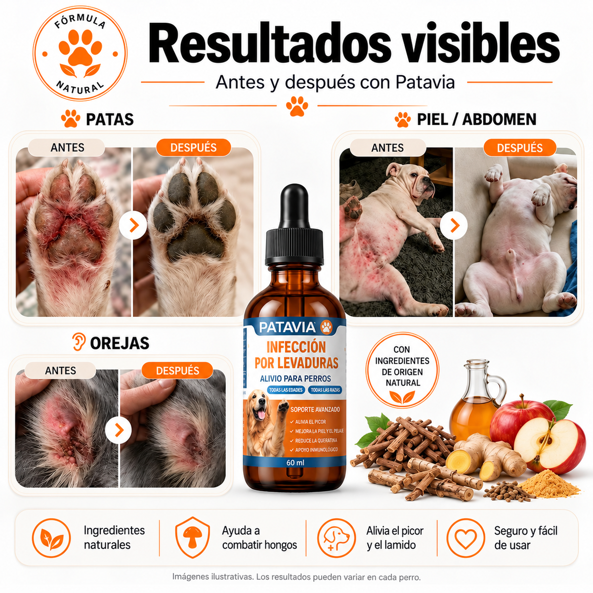 Cuidado natural para tu perro