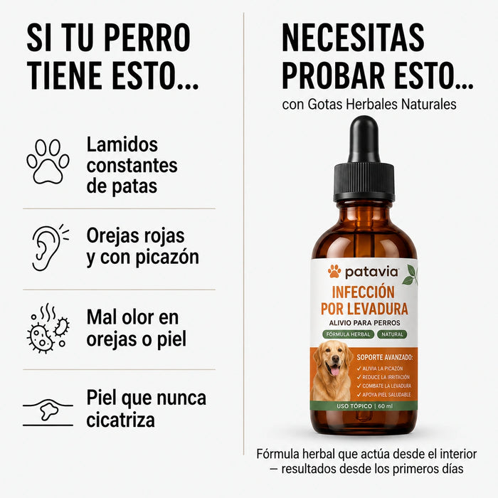 Gotas naturales para perros que no paran de lamerse las patas