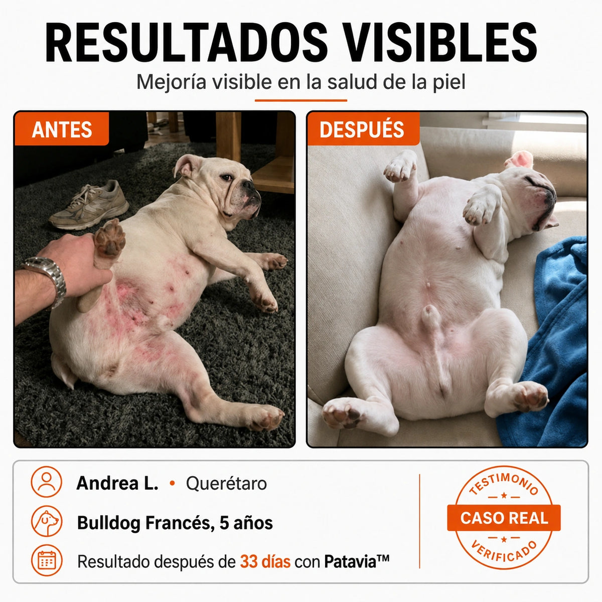 Pliegue del cuello de un perro